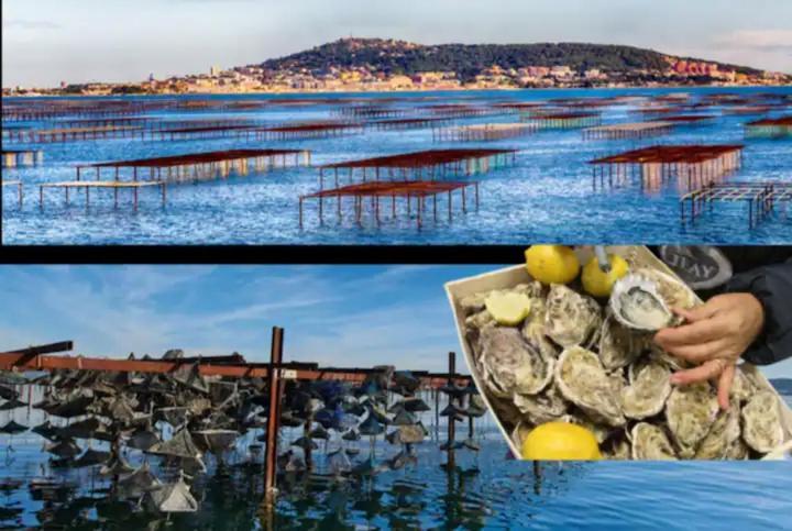 Charmant 2 Pieces Avec Terrasse En Bord De Mer Leucate Exterior foto
